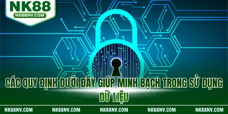 Các quy định dưới đây giúp minh bạch trong sử dụng dữ liệu