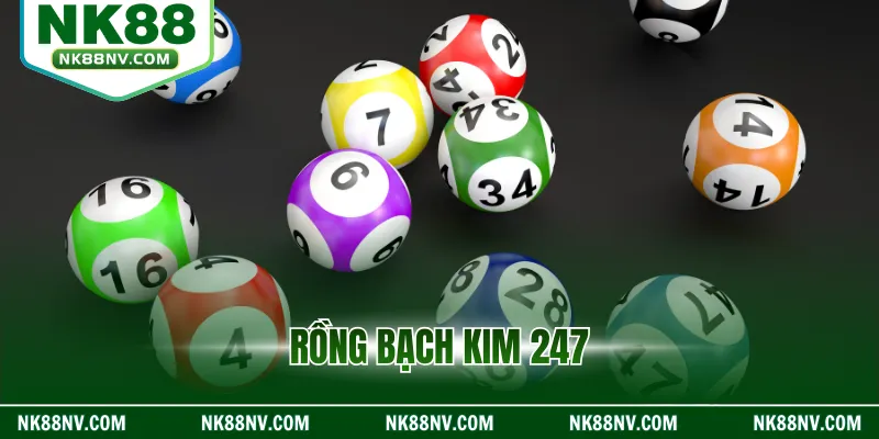 Rồng Bạch Kim 247 Tại Nk88 - Hướng Dẫn Chơi Số Chuẩn